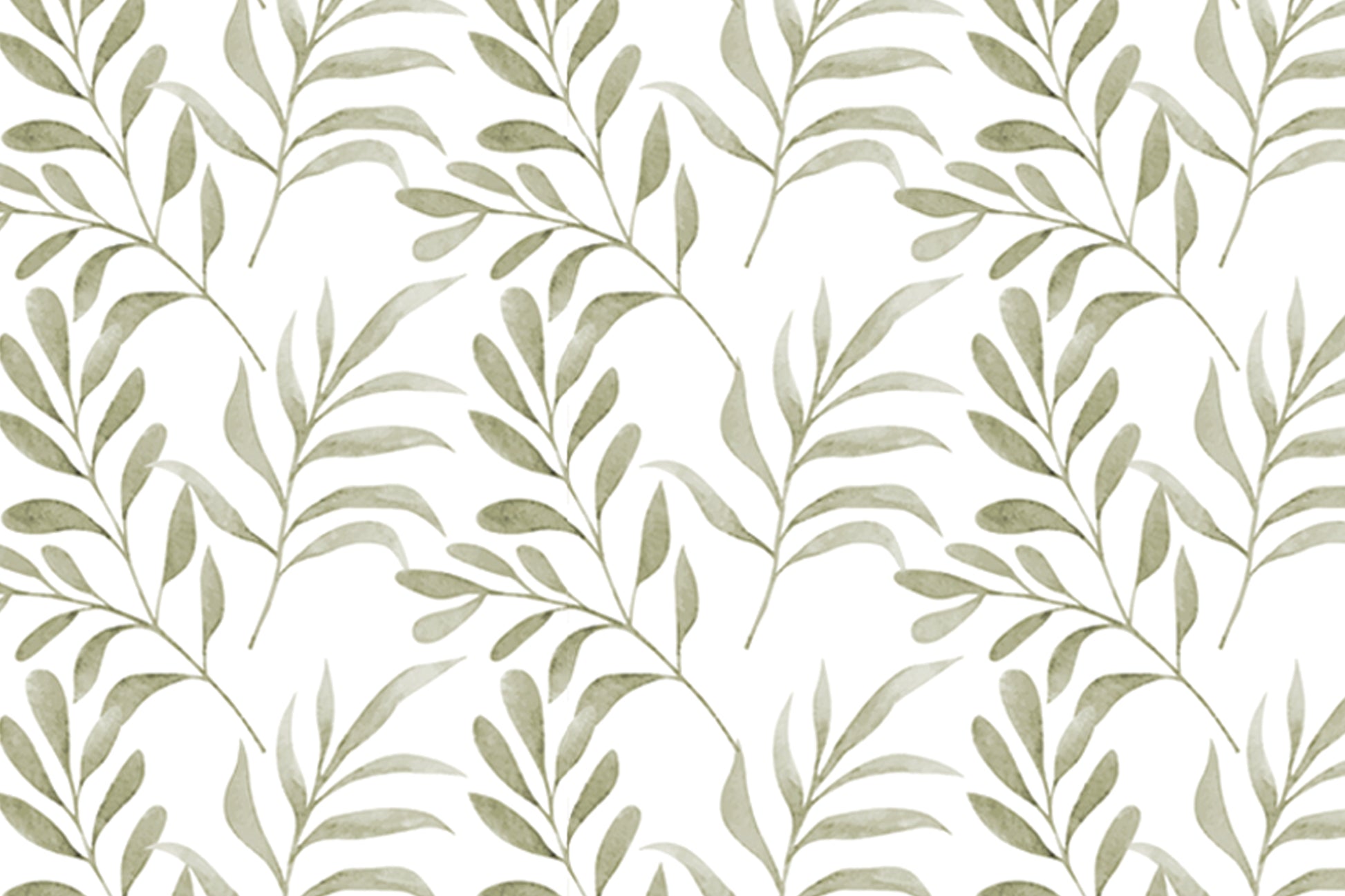 Meadow-Olive