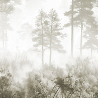 Wintergreen-Shade