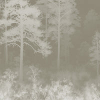 Misty-Olive