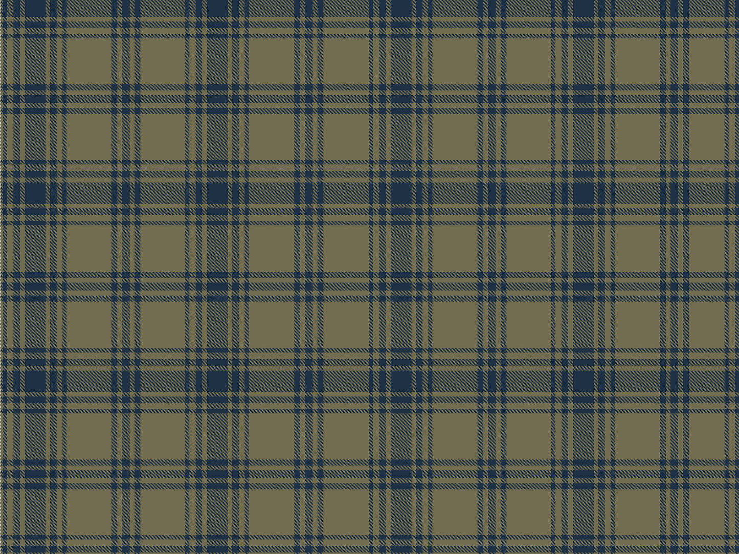 Dried-Olive