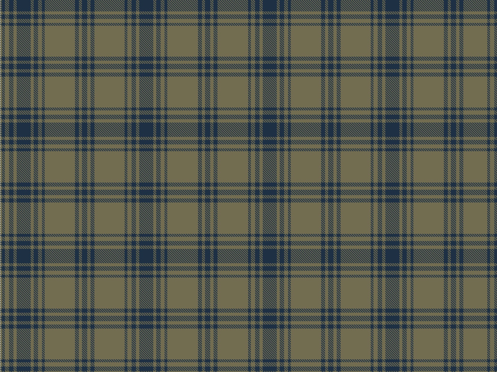 Dried-Olive