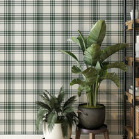 A modern room features a crisp white and forest green plaid wallpaper.
The detailed pattern shows intersecting dark green lines crossing over a light base.
In front, two vibrant green potted plants sit nicely on small stands.
A tall, industrial-style wooden shelving unit completes the organized corner setup.