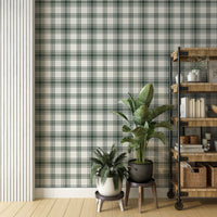A modern room features a crisp white and forest green plaid wallpaper.
The detailed pattern shows intersecting dark green lines crossing over a light base.
In front, two vibrant green potted plants sit nicely on small stands.
A tall, industrial-style wooden shelving unit completes the organized corner setup.