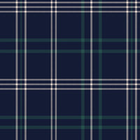 An interior setting highlights a dark navy blue wallpaper with a classic green and white plaid pattern.
In the foreground, a rustic light wood chest or table sits with subtle metal rivets along its top edge.
A large, textured terracotta vase with a rounded body rests on the left side of the wooden surface.
The vase is filled with leafy olive branches extending upwards, adding a vibrant touch of natural green.