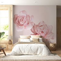 Oyster-Pink