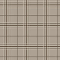A minimal living room features a textured plaid wallpaper in desert dune tones.
The fabric-look pattern displays a structured grid with intersecting warm beige and soft tan lines.
In front, a comfortable light grey fabric sofa with a beige accent pillow is positioned on the right.
The clean interior setup is nicely completed by a dark grey wooden storage cabinet on the left.