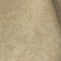 Champagne Beige