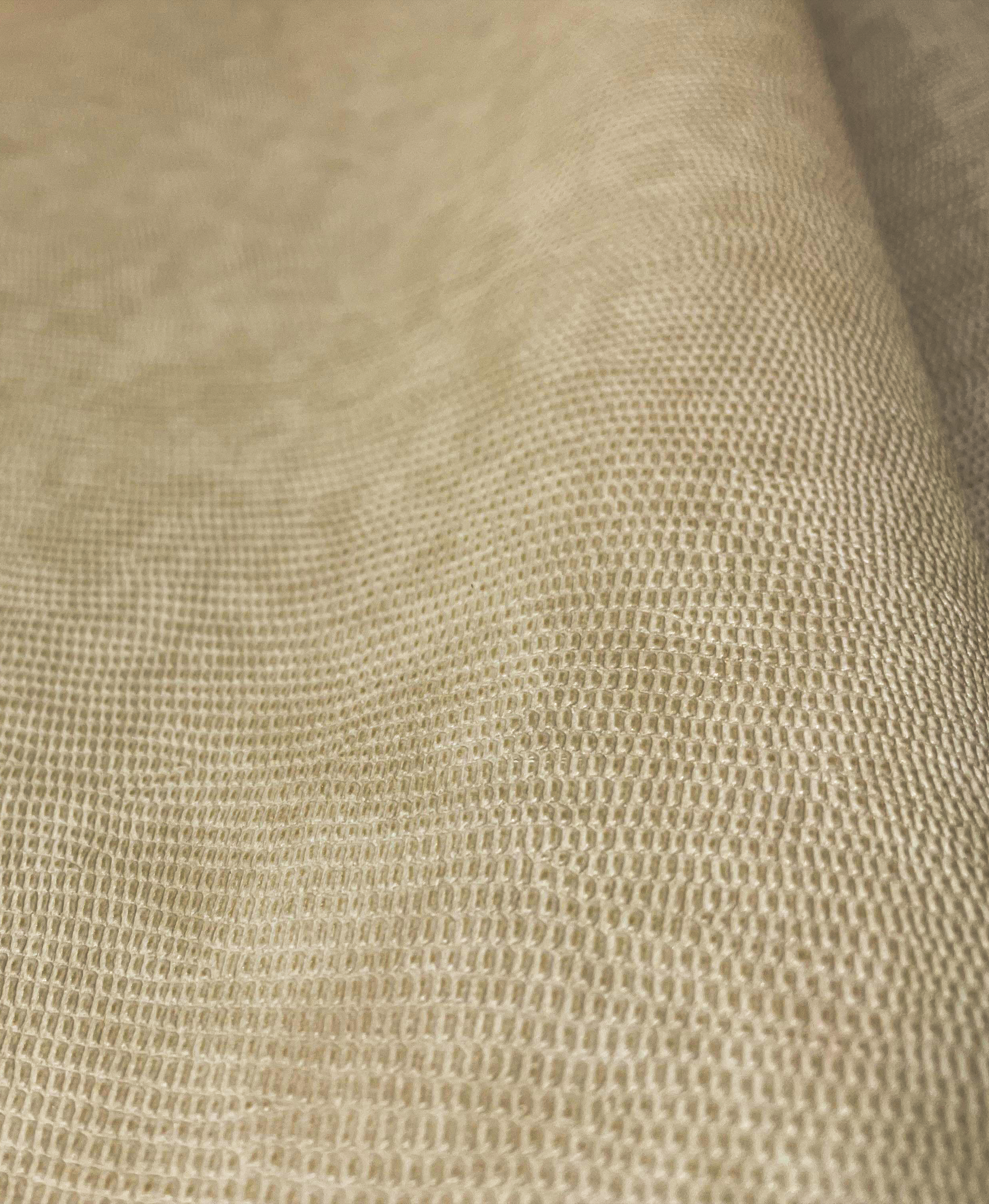 Champagne Beige