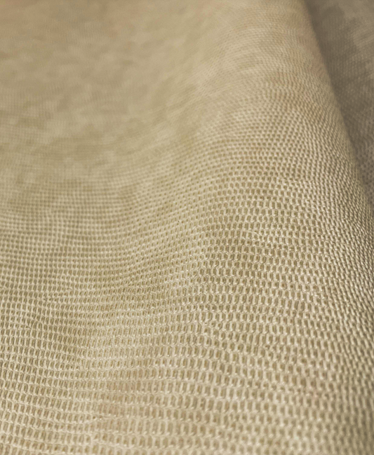 Champagne Beige