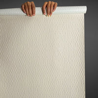 Warm Beige