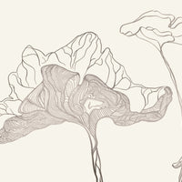 Ghost Fern