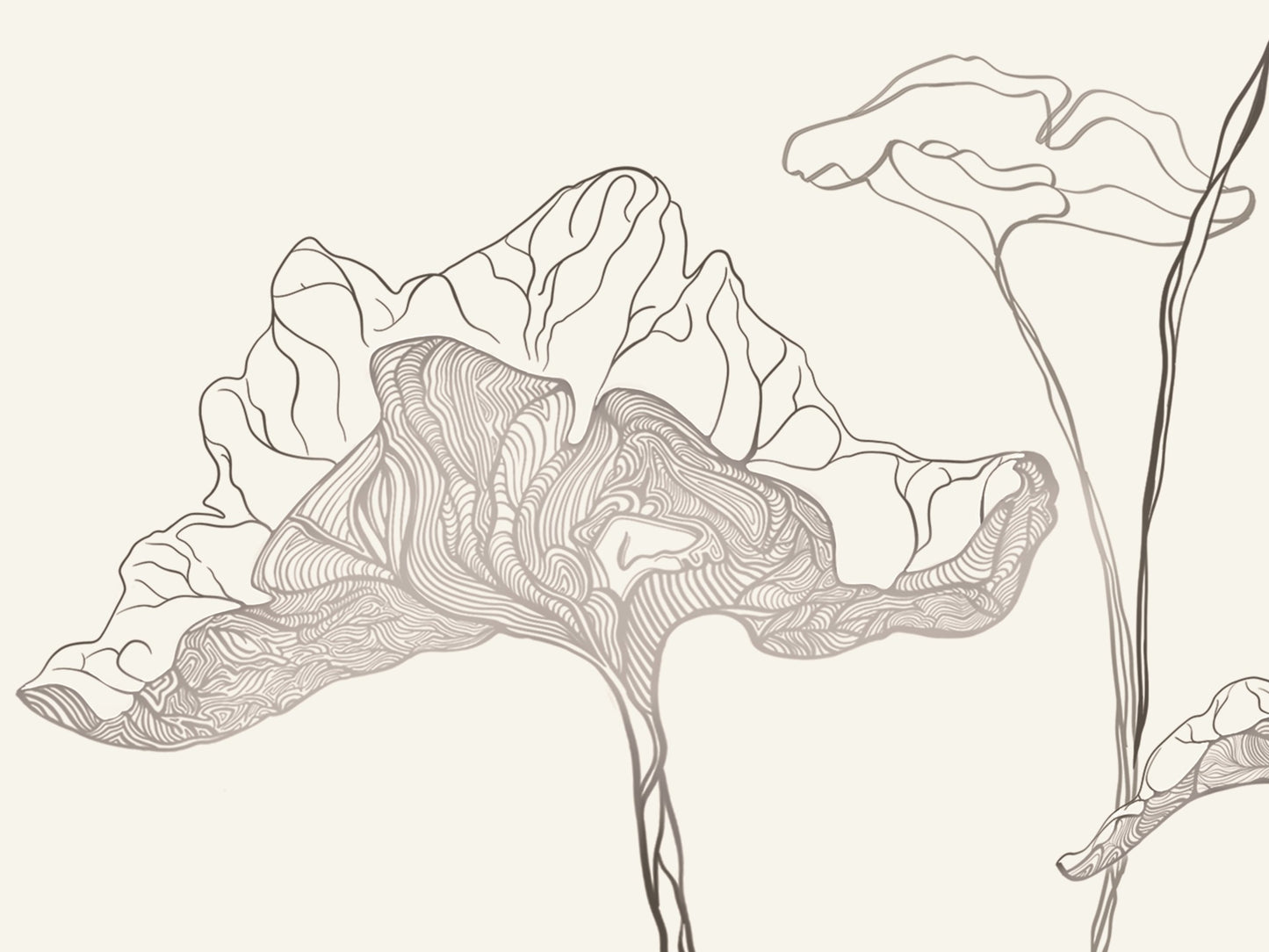 Ghost Fern