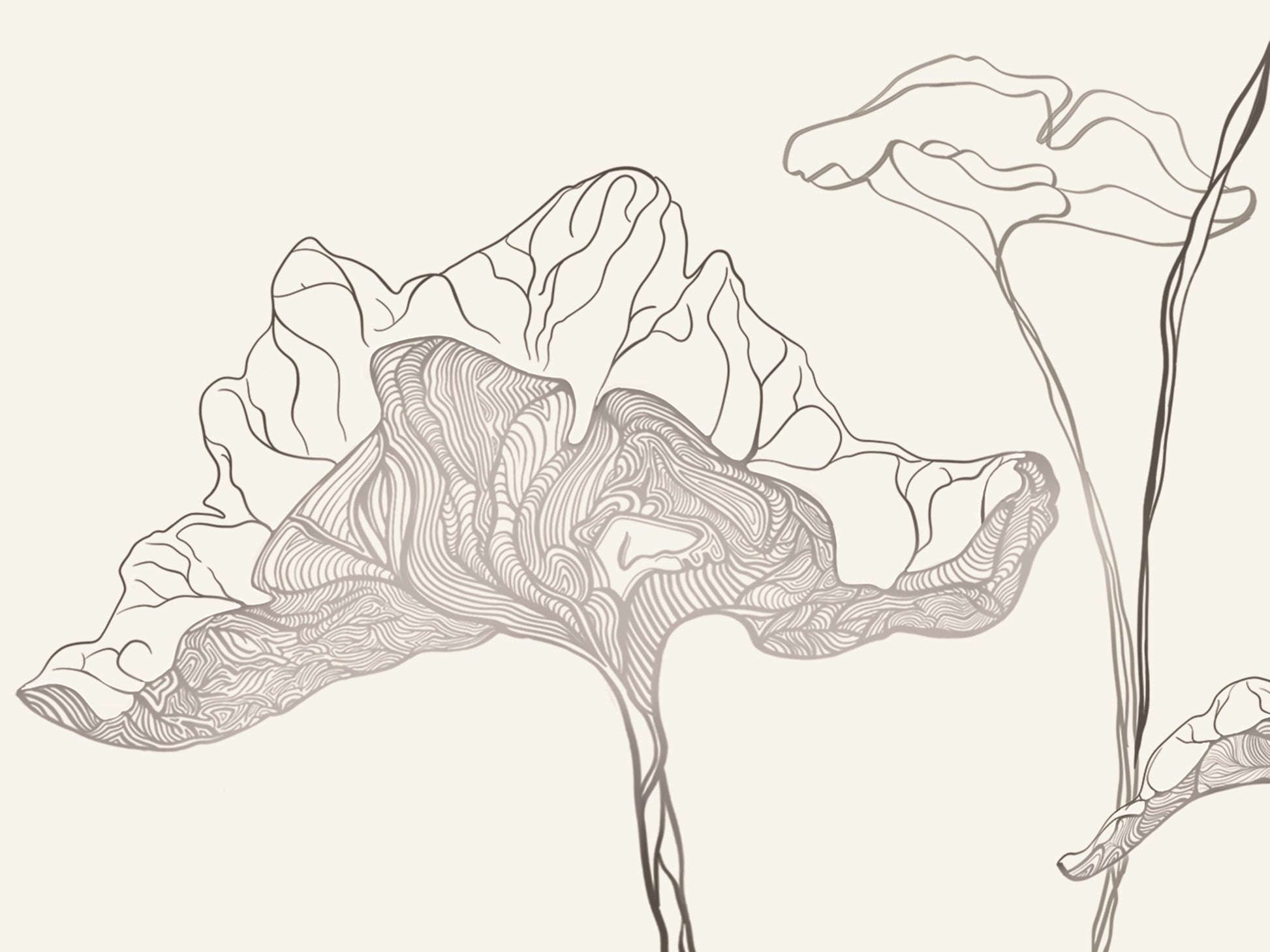 Ghost Fern