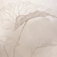 Soft Lichen