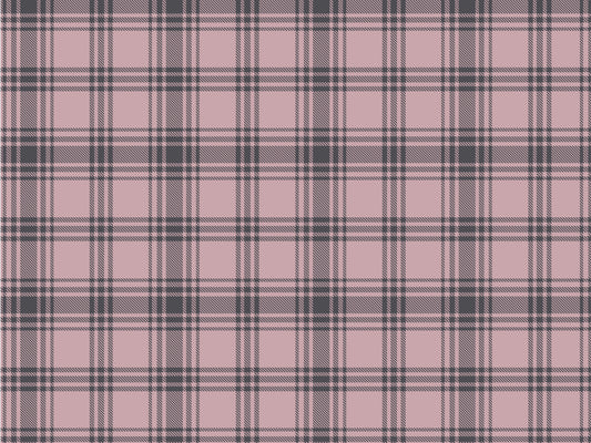 A close-up view showcases a classic clay pink and charcoal grey plaid wallpaper.
The detailed pattern features intersecting dark lines forming grids across a soft pink base.
The texture has a clean fabric-like look that emphasizes the straight lines and squares.
This simple, modern design brings a cozy and organized feel to any room or space.