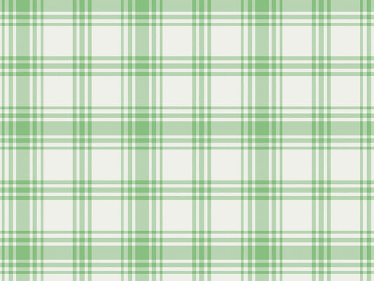 A close-up view showcases a classic lush herb green and cream plaid wallpaper.
The detailed pattern features intersecting dark green lines forming grids across a soft base.
The texture has a clean fabric-like look that emphasizes the straight lines and squares.
This simple, nature-inspired design brings a cozy and refreshing feel to any wall or room.