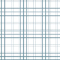 A simple graphic displays a clean pale steel blue and white plaid pattern.
The detailed design shows thin blue-grey lines intersecting across a plain white background.
The lines cross each other perfectly to form an organized, repeating grid pattern.
The minimal setup highlights only the soft colors and geometric fabric wallpaper design.