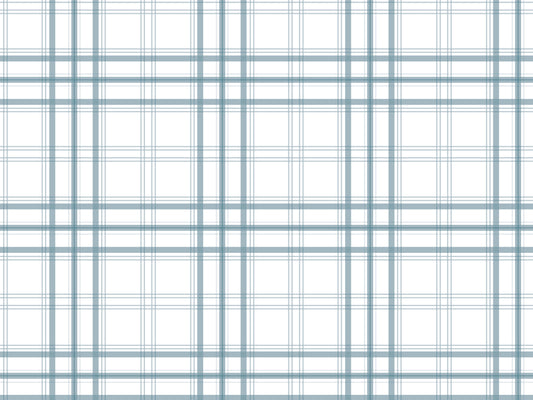 A simple graphic displays a clean pale steel blue and white plaid pattern.
The detailed design shows thin blue-grey lines intersecting across a plain white background.
The lines cross each other perfectly to form an organized, repeating grid pattern.
The minimal setup highlights only the soft colors and geometric fabric wallpaper design.