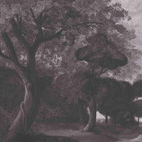 An architectural perspective of a high-end contemporary lounge featuring the Rural Retreat Mural in Velvet Black as a full-scale feature wall. The mural’s expansive scenic vista pairs elegantly with metallic accents and velvet upholstery, creating a peaceful and cultured interior sanctuary.