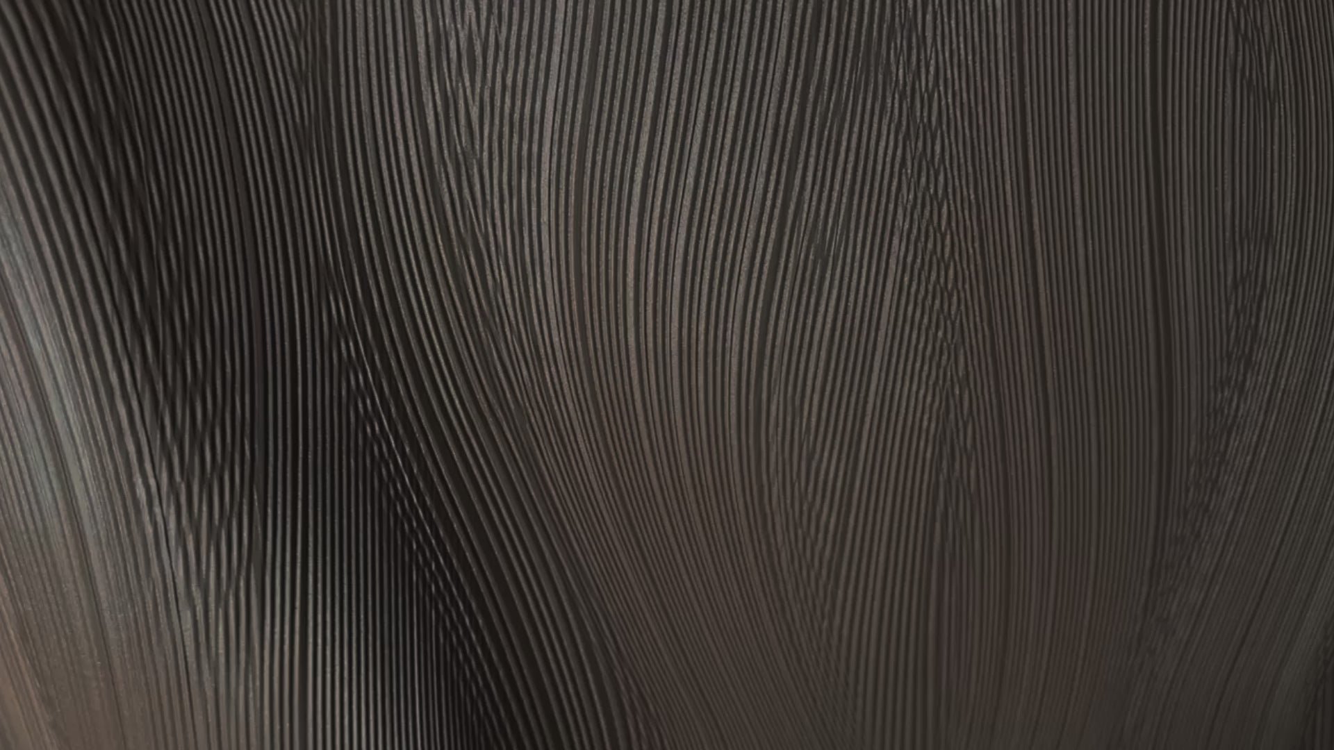 Chocolate Brown