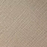 Warm Beige