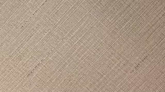 Warm Beige
