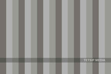 Load image into Gallery viewer, 203_DP - Grey Monochromatic Stripes
