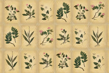 Load image into Gallery viewer, 255_DA - Sandstone Wallpaper With Green Plants and Flowers
