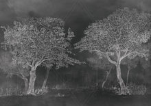 Load image into Gallery viewer, 320_DA - Aranyam (Forest) - Grey
