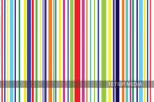 Load image into Gallery viewer, 56_DP - Multicolour Bar Code like stripes
